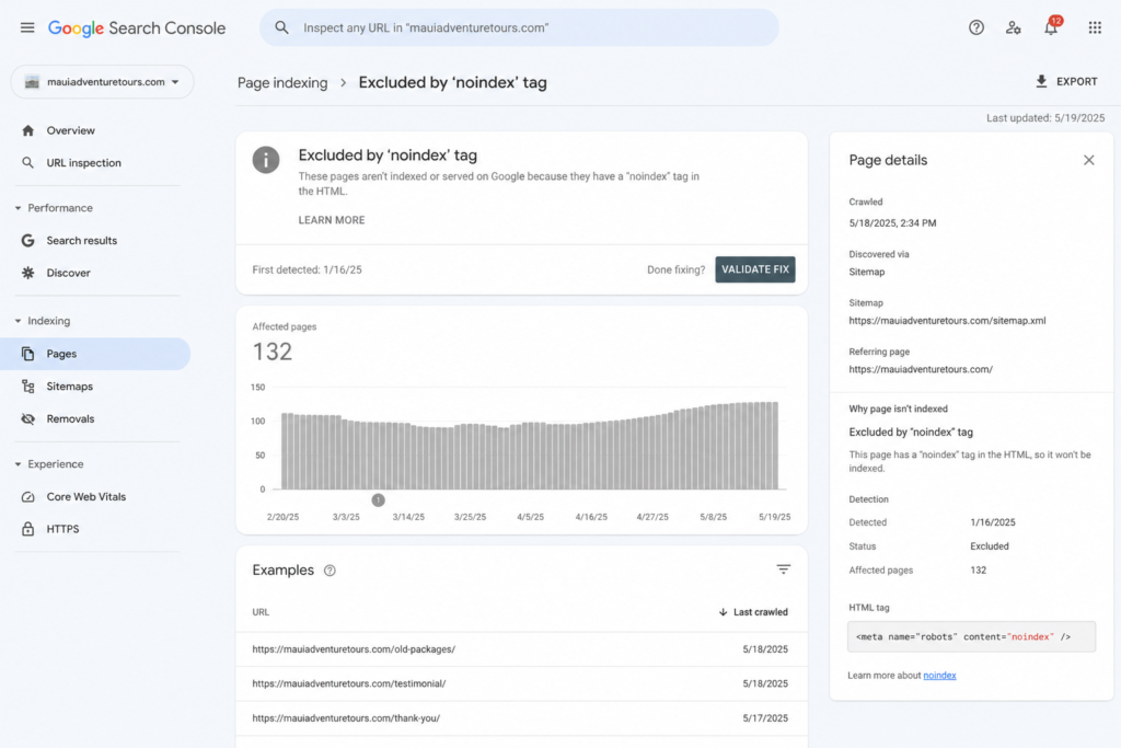 Google Search Console report showing a page excluded from indexing due to a noindex tag